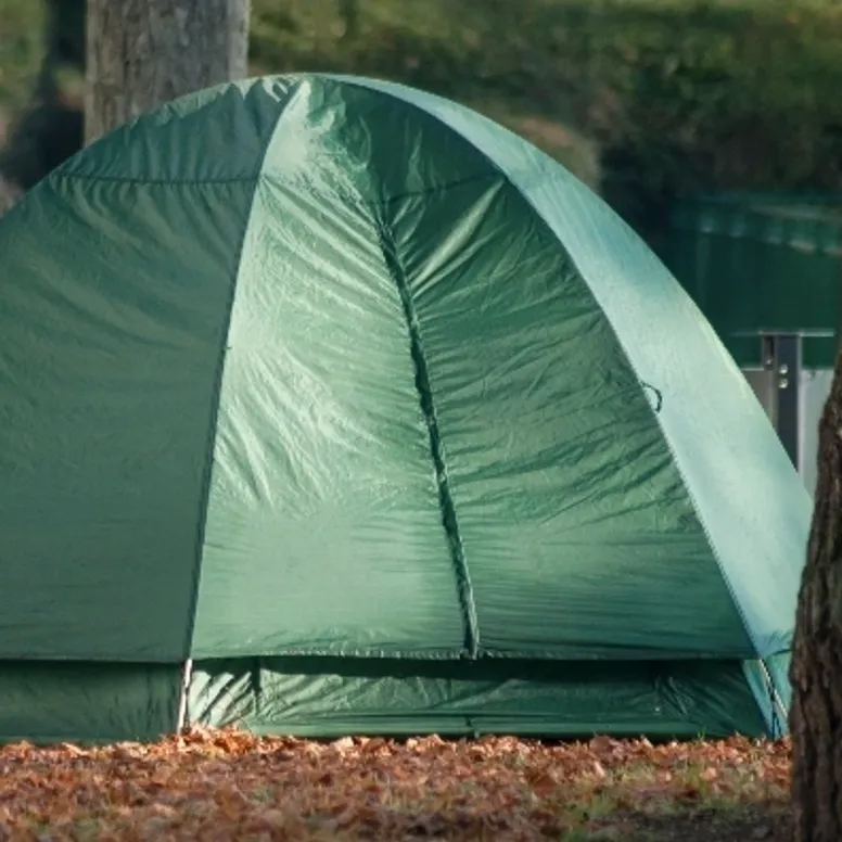 A green tent. It seems to be made of thin material and has been placed on grass and Autumn leaves.