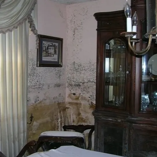 The corner of a room is shown. It looks to have a severe mould problem.
